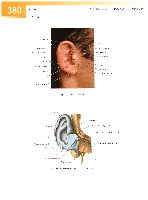 Sobotta Atlas of Human Anatomy  Head,Neck,Upper Limb Volume1 2006, page 387